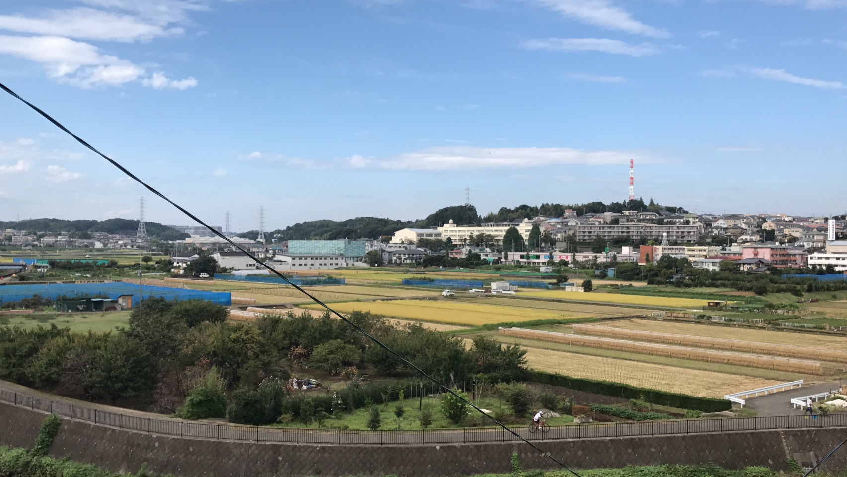 東急田園都市線「田奈」周辺情報!どんなところ?☆田園風景編☆