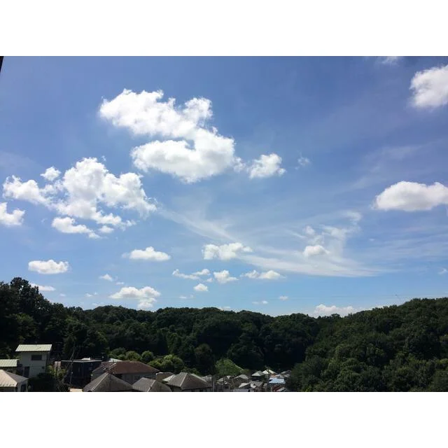 内装