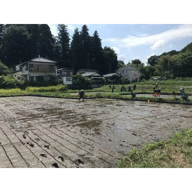 内装