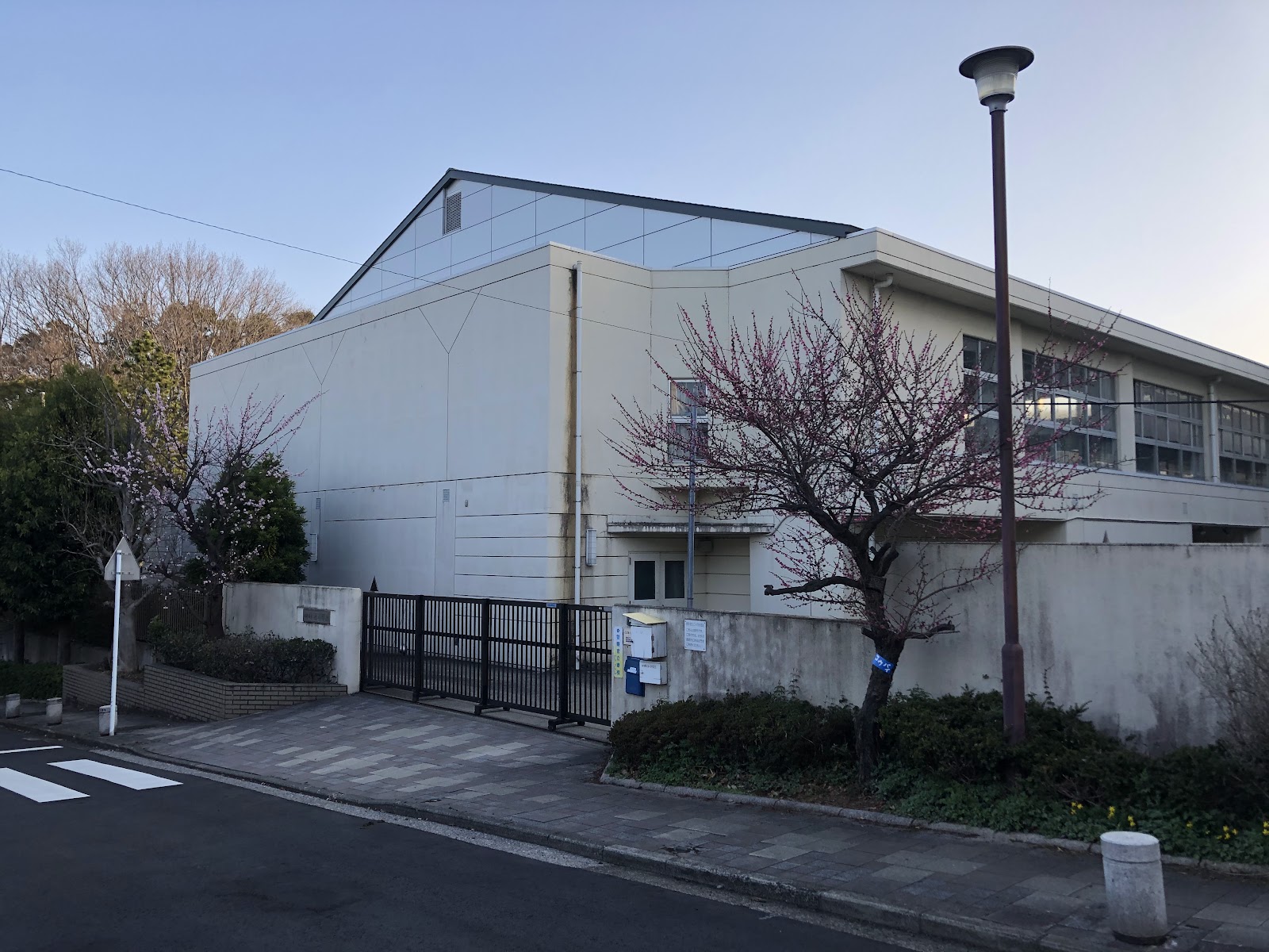 桂小学校の写真